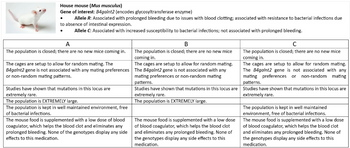 House mouse (Mus musculus)
Gene of interest: B4galnt2 (encodes glycosyltransferase enzyme)
Allele R: Associated with prolonged bleeding due to issues with blood clotting; associated with resistance to bacterial infections due
to absence of intestinal expression.
Allele C: Associated with increased susceptibility to bacterial infections; not associated with prolonged bleeding.
A
B
с
The population is closed; there are no new mice coming in.
The cages are setup to allow for random mating. The
B4galnt2 gene is not associated with any mating preferences
or non-random mating patterns.
Studies have shown that mutations in this locus are
extremely rare.
The population is EXTREMELY large.
The population is kept in well maintained environment, free
of bacterial infections.
The mouse food is supplemented with a low dose of blood
coagulator, which helps the blood clot and eliminates any
prolonged bleeding. None of the genotypes display any side
effects to this medication.
The population is closed; there are no new mice
coming in.
The cages are setup to allow for random mating.
The B4galnt2 gene is not associated with any
mating preferences or non-random mating
patterns.
The population is closed; there are no new mice
coming in.
The cages are setup to allow for random mating.
The B4galnt2 gene is not associated with any
mating preferences or non-random mating
patterns.
Studies have shown that mutations in this locus are Studies have shown that mutations in this locus are
extremely rare.
The population is EXTREMELY large.
The mouse food is supplemented with a low dose
of blood coagulator, which helps the blood clot
and eliminates any prolonged bleeding. None of
the genotypes display any side effects to this
medication.
extremely rare.
The population is kept in well maintained
environment, free of bacterial infections.
The mouse food is supplemented with a low dose
of blood coagulator, which helps the blood clot
and eliminates any prolonged bleeding. None of
the genotypes display any side effects to this
medication.