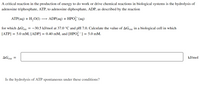 A critical reaction in the production of energy to do work or drive chemical reactions in biological systems is the hydrolysis of
adenosine triphosphate, ATP, to adenosine diphosphate, ADP, as described by the reaction
ATP(aq) + H,O(I)
ADP(aq) + HPO-(aq)
for which AGrxn
= -30.5 kJ/mol at 37.0 °C and pH 7.0. Calculate the value of AGrxn in a biological cell in which
[ATP] = 5.0 mM, [ADP] = 0.40 mM, and [HPO-] = 5.0 mM.
AGrxn
kJ/mol
%D
Is the hydrolysis of ATP spontaneous under these conditions?
