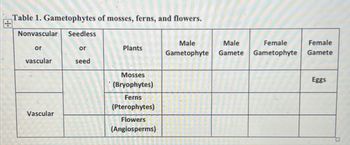 Table 1. Gametophytes of mosses, ferns, and flowers.
Nonvascular
or
vascular
Vascular
Seedless
or
seed
Plants
Mosses
(Bryophytes)
Ferns
(Pterophytes)
Flowers
(Angiosperms)
Male
Male
Female
Gametophyte Gamete Gametophyte
Female
Gamete
Eggs