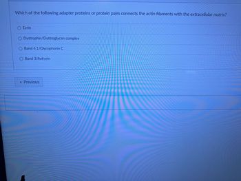 Which of the following adapter proteins or protein pairs connects the actin filaments with the extracellular matrix?
Ezrin
Dystrophin/Dystroglycan complex
Band 4.1/Glycophorin C
O Band 3/Ankyrin
< Previous