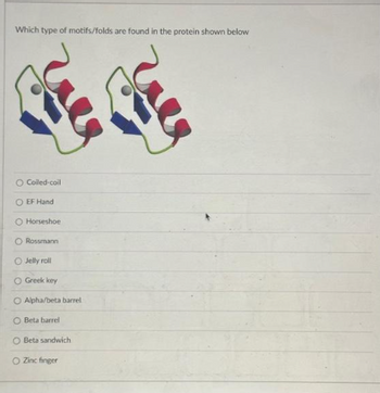 Which type of motifs/folds are found in the protein shown below
Coiled-coil
O EF Hand
O Horseshoe
O Rossmann
O Jelly roll
O Greek key
O Alpha/beta barrel
O Beta barrel
O Beta sandwich
OZinc finger