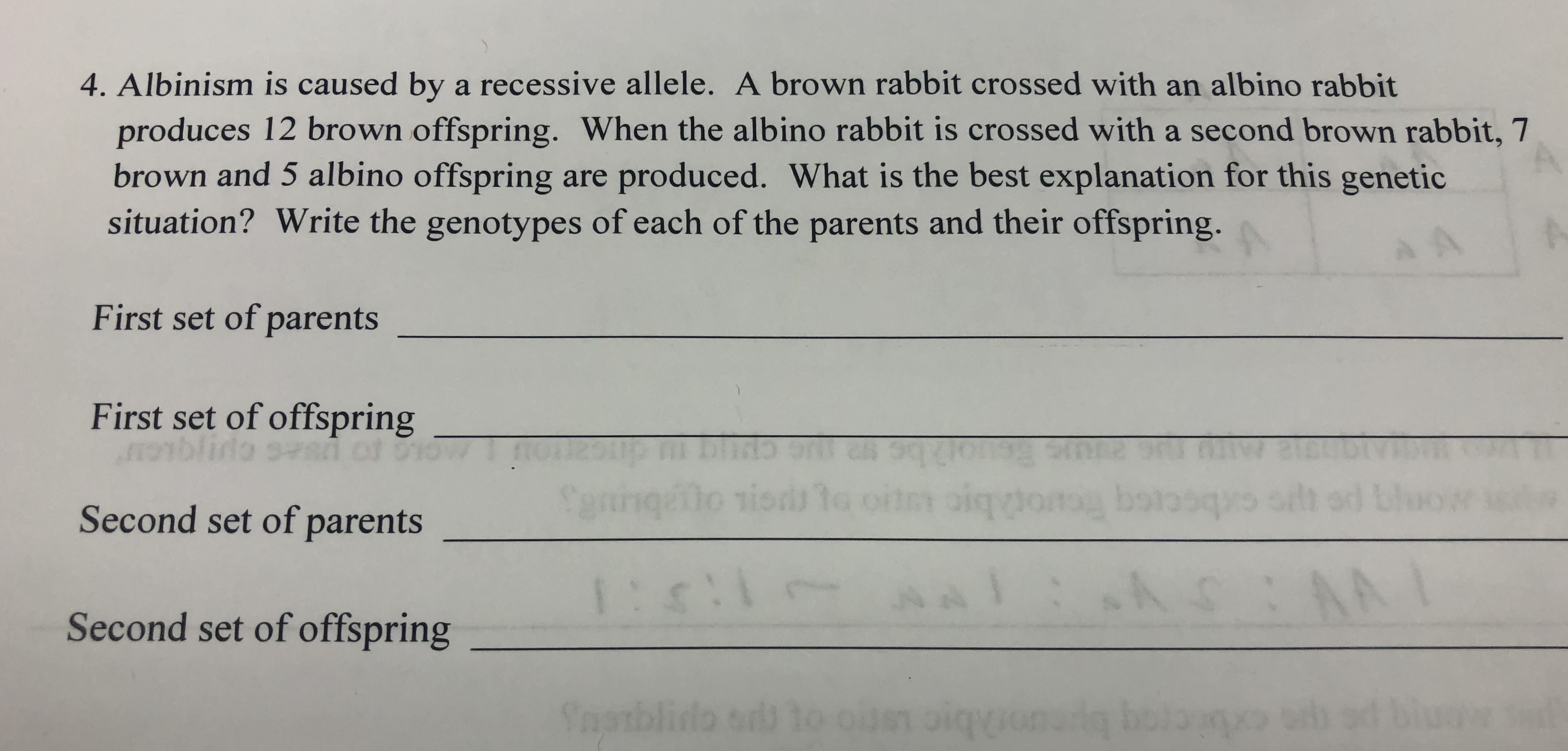 4. Albinism is caused bya recessive al lele. A brown rabbit crossed with an albino rabbit
produces 12 brown offspring. When the albino rabbit is crossed with a second brown rabbit, 7
brown and 5 albino offspring are produced. What is the best explanation for this genetic
situation? Write the genotypes of each of the parents and their offspring.
A
First set of parents
First set of offspring
Cenng
to ri
Second set of parents
e
1:s!!
A
A
Second set of offspring
Sbl
