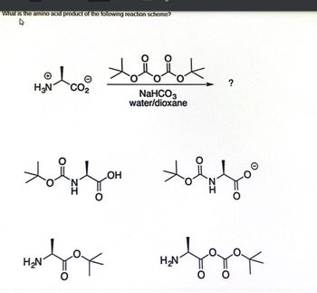 What is the amino acid product of the following reaction scheme?
H₂N CO₂
toly fon
OH
H₂N
of
rorot
NaHCO3
water/dioxane
t
H₂N
?
I fo
O
IZ
удах