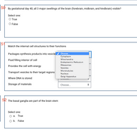 By gestational day 40, all 3 major swellings of the brain (forebrain, midbrain, and hindbrain) visible?
50
Select one:
O True
O False
151
Match the internal cell structures to their functions
Packages synthesis products into vesicle
Choose...
Cytoplasm
Mitochandria
Fluid filling interior of cell
Endoplasmic Reticulum
Ribosomes
Provides the cell with energy
Vesicles
Microtubules
Transport vesicles to their target regions
Nucleus
Golgi Apparatus
Where DNA is stored
Storage of materials
Choose.
52 The basal ganglia are part of the brain stem
Select one:
O a. True
O b. False
