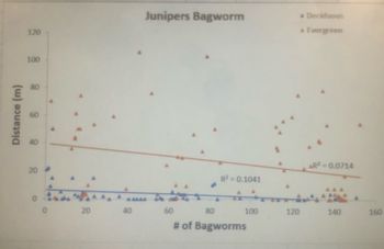 Distance (m)
120
100
80
60
40
20
0
20
40
Junipers Bagworm
60
80
R² = 0.1041
100
# of Bagworms
120
* Deciduous
Evergreen
AR² = 0.0714
140
160