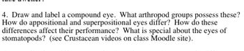 **Discussion Topic: Compound Eyes in Arthropods**

**Question:**

4. Draw and label a compound eye. What arthropod groups possess these? How do appositional and superpositional eyes differ? How do these differences affect their performance? What is special about the eyes of stomatopods? (see Crustacean videos on class Moodle site). 

---

**Explanation:**

- **Compound Eyes**: These are a type of visual organ found in arthropods, composed of multiple small visual units called ommatidia. Each ommatidium captures a part of the field of view, and collectively, they provide a broad visual perspective.

- **Arthropod Groups with Compound Eyes**: Common arthropods with compound eyes include insects, crustaceans, and some myriapods.

- **Appositional vs. Superpositional Eyes**:
  - **Appositional Eyes**: Common in diurnal arthropods, these eyes have ommatidia that function individually with little light crossover between them. This results in high-resolution images but requires more light.
  - **Superpositional Eyes**: Typical in nocturnal arthropods, these eyes allow for light crossover between ommatidia, enabling vision in low-light conditions but at the cost of image resolution.

- **Performance Differences**:
  - Appositional eyes are better suited for environments with abundant light and for detailed vision.
  - Superpositional eyes are adapted for low-light environments, offering enhanced sensitivity.

- **Unique Features of Stomatopod Eyes**: Stomatopods, commonly known as mantis shrimp, have highly advanced compound eyes capable of complex color vision, including ultraviolet light detection, and even polarized light vision. This sophisticated vision enables them to identify prey and predators effectively.

For further visual understanding, refer to the Crustacean videos available on the class Moodle site.