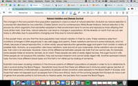 Chrome
File
Edit
View
History Bookmarks
Реople Tab
Window
Help
88%
Wed Jan 27 1:44 PM
Evolution X
E TENZINE X
Paraphra x b Search re x
Classwor X
Meet
(MP2) Wi X
DeltaMat X New Tab
+
docs.google.com/document/d/1wlo4ee5fHQWkeyOh-B8FYluBGBAx98BFQ8RDOkPiaX0/edit
* BI
в IUA
▼三、
E E
90%
Normal text
Century Go..
12
+
▼
...
Natural Variation and Disease Survival
The changes in the rock pocket mice population explored in class is a result of natural selection. Evolution by natural selection is
a process first described by two scientists, Charles Darwin and his contem
porary Alfred Russel Wallace. Natural selection is the
process by which organisms that are better adapted to their environment tend to survive and reproduce more offspring that
have similar traits. Over time, natural selection can lead to changes in populations. All the diversity on earth that we can see
today is ultimately due to populations changing over time due to natural selection.
In the pocket mice, we saw that the mice population had natural variation in their fur color. These variations arise from
mutations (changes in DNA sequences) in sex cells (eggs and sperm). These variations are found in some individuals, and not
others, because of sexual reproduction. In other words, sexual reproduction generates eggs and sperm that contain a variety of
possible traits. Humans, as a population, also have variations. Look around at your classmates. Some variations we can easily
see, hair color is an example. However, many of the differences between people are traits that we cannot see. For example,
some people make an enzyme, lactase, as an adult. These people are able to easily digest lactose, the sugar found in milk.
Other people do not produce this variation; they are lactose-intolerant and cannot easily digest milk. Another example is blood
type. Humans have different blood types, but this trait is not visible just by looking at someone.
Scientists have been studying variations in the immune systems of different populations of people in order to try to determine its
role in survival during the Black Plague . Geneticists have found that there are differences in immune system genes (section of
DNA that determine a trait) between populations of people whose ancestors were exposed to the Black Death in Europe, and
those that were not exposed (such as people from China and Africa). Many of the surviving people from Europe do have a set
of genes that provide partial to full immunity to Yersinia pestis, the bacteria that caused the Black Plague.
JAN 9
27
84
...
lil
