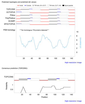 Predicted topologies and predicted AG values:
- Inside -Outside
TM-helix (IN->OUT) TM-helix (OUT->IN) Signal peptide
TOPCONS
OCTOPUS
Philius
PolyPhobius
SCAMPI
SPOCTOPUS
PDB-homology
***No homologous TM proteins detected***
20
40
60
60
Consensus prediction (TOPCONS):
TOPCONS
Reliability
1
0.9
10
10
8
60
+
2
0
AG (kcal/mol)
80
100
120
140
High-resolution image
20
40
60
80
Position
100
120
140
High-resolution image.