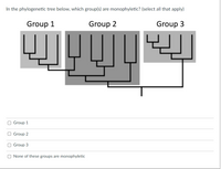 Answered: In The Phylogenetic Tree Below, Which… | Bartleby