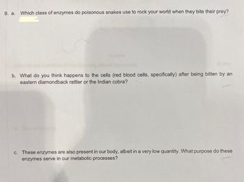 9. a. Which class of enzymes do poisonous snakes use to rock your world when they bite their prey?
(3 pts)
b. What do you think happens to the cells (red blood cells, specifically) after being bitten by an
eastern diamondback rattler or the Indian cobra?
c. These enzymes are also present in our body, albeit in a very low quantity. What purpose do these
enzymes serve in our metabolic processes?