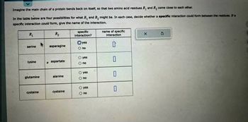Imagine the main chain of a protein bends back on itself, so that two amino acid residues R, and R, come close to each other.
In the table below are four possibilities for what R, and R₂ might be. In each case, decide whether a specific interaction could form between the residues. If a
specific interaction could form, give the name of the interaction.
R₂
R₁
serine
lysine
glutamine
cysteine
asparagine
aspartate
alanine
cysteine
specific
interaction?
yes
O no
O yes
no
yes
O no
O yes
O no
name of specific
interaction
0
0
0
X
S