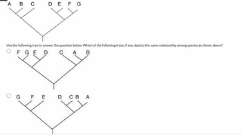 A B C D E F G
Use the following tree to answer the question below. Which of the following trees, if any, depicts the same relationship among species as shown above?
FGE D
B
OG
FED CB A