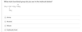 **Question:**

What main functional group do you see in the molecule below?

**Diagram of Molecule:**

The molecule is displayed with the following structure:
- CH₃—CH—CH₂—NH₂
- A CH₃ group is attached as a branch to the CH group in the middle.

**Answer Options:**

- ○ Amine
- ○ Alcohol
- ○ Alkane
- ○ Carboxylic Acid

**Explanation:**

The main functional group in this molecule is an "Amine," as indicated by the presence of the NH₂ group. This functional group is characterized by a nitrogen atom attached to one or more alkyl or aryl groups.