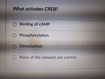 What activates CREB?
OBinding of CAMP
O Phosphorylation
O Dimerization
O
ASUKKERI
Masau
None of the answers are correct