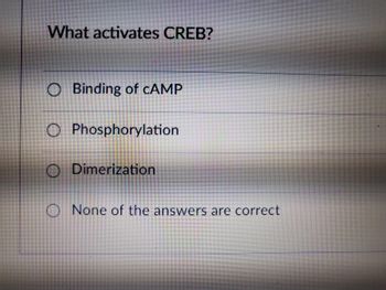 **What activates CREB?**

- ○ Binding of cAMP
- ○ Phosphorylation
- ○ Dimerization
- ○ None of the answers are correct

This question is related to the activation mechanisms of CREB (cAMP response element-binding protein), a cellular transcription factor. Understanding these concepts is important for comprehending how signals are transduced into cellular responses.