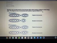 chools.instructure.com/courses/1035/discussIon_topics/29999?module_item_id=342195
Chromosome #1-?
Chromosome #2- ?
Explain your thinking...
Students were provided with the chromosomes below while studying mutations in their biology
class. The diagrams show chromosomes with sections of genes labeled A-H.
Chromosome 1
ABCD E
Original chromosome
F
G
A
E
Mutated chromosome
Chromosome 2
BCDE
Original chromosome
A
G
H
A
D
F
Mutated chromosome
K
MP3
