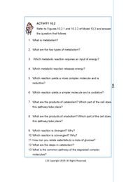 ACTIVITY 10.2
Refer to Figures 10.2.1 and 10.2.2 of Model 10.2 and answer
the question that follows
1. What is metabolism?
2. What are the two types of metabolism?
3. Which metabolic reaction requires an input of energy?
4. Which metabolic reaction releases energy?
5. Which reaction yields a more complex molecule and is
reductive?
6. Which reaction yields a simpler molecule and is oxidative?
7. What are the products of catabolism? Which part of the cell does
this pathway take place?
8. What are the products of anabolism? Which part of the cell does
this pathway take place?
9. Which reaction is divergent? Why?
10. Which reaction is convergent? Why?
11. How can you relate waterfalls to a mole of glucose?
12. What are the steps in catabolism?
13. What is the common pathway of the degraded complex
molecules?
213 Copyright 2019. All Rights Reserved.
