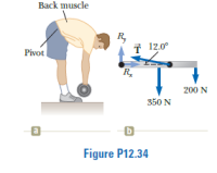 Back muscle
R,
i 12.0°
Pivot
R.
200 N
350 N
a
Figure P12.34
