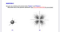 QUESTION 3
(a) Look very carefully at the pictures below: Picture 1 and Picture 2.
What does each of the pictures represent? Give FULL EXPLANATIONS for your answer.
(1)
(2)
