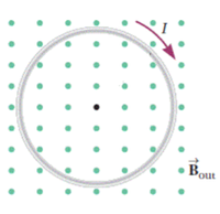 **Transcription for Educational Website:**

**Diagram Description:**

The image illustrates the concept of magnetic fields around a current-carrying wire using the right-hand rule. The diagram features a circular loop with an inward magnetic field denoted as \( \mathbf{B}_{\text{out}} \), represented by green dots uniformly distributed across the background, indicating the direction of the magnetic field going outward.

**Components:**

- **Circular Loop:** The loop is depicted as a grey circle, representing a wire carrying an electric current.
  
- **Current Direction (\( I \)):** Shown by a purple arrow along the loop, the current flows in a clockwise direction.

- **Magnetic Field (\( \mathbf{B}_{\text{out}} \)):** The magnetic field is indicated by the green dots that symbolize field lines directed outward from the plane of the loop.

**Magnetic Field & Current Relationship:**

The diagram underscores the principle that a current-carrying conductor (the loop) generates a magnetic field around it, which can be determined by the right-hand rule. According to the rule, if the thumb of the right hand points in the direction of the current, the fingers curl in the direction of the generated magnetic field outside the loop, in this case, out of the plane.

This illustration aids in understanding the interaction between current and magnetic fields, foundational to electromagnetic theory and its applications.