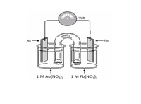 Volt
KNO
Au
- Pb
1 M Au(NO3),
1 M Pb(NO,);
