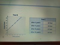 Tree B
48
Tree C
44
After 3 years
32 feet
40
36
After 5 years
34 feet
32
After 8 years
37 feet
28
After 10 yearS
39 feet
21
10-12
Time (years)
Height (feet)
