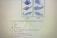 Group A
Group B
15. Which of the following organisms would belong in Group B?
A. grass
B. diatom
C. algae
Paramecium
16. Which of the following is a characteristic of Group B?
A. makes own food
B. has a specialized ways to move
C. absorbs food from the surroundings
D. has cell walls
