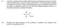 (i)
Consider a preparation that contains all the enzymes and cofactors necessary for fatty
acid biosynthesis from acetyl-CoA and malonyl-CoA. If [2-H] acetyl-CoA labeled
with deuterium, the heavy isotope of hydrogen and excess of unlabeled malonyl-CoA
are added as substrates, where will you find these labeled deuterium atoms in a
molecule of palmitate synthesized? Explain.
S-COA
(ii)
Describe the steps involved in the synthesis of palmitic acid starting from
acetyl-CoA and malonyl-CoA.
