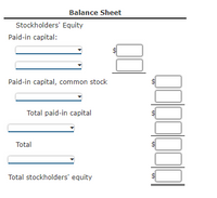 Balance Sheet
Stockholders' Equity
Paid-in capital:
Paid-in capital, common stock
Total paid-in capital
Total
Total stockholders' equity
%24
%24
%24
%24
