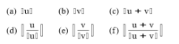 (a) Dul
(b) Iv)
(c) lu + v]
u + v
(d) (e) I (f) ju + vi
H M
lul
