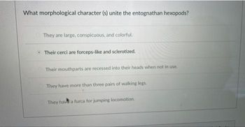 What morphological character (s) unite the entognathan hexopods?
They are large, conspicuous, and colorful.
Their cerci are forceps-like and sclerotized.
Their mouthparts are recessed into their heads when not in use.
They have more than three pairs of walking legs.
They have a furca for jumping locomotion.