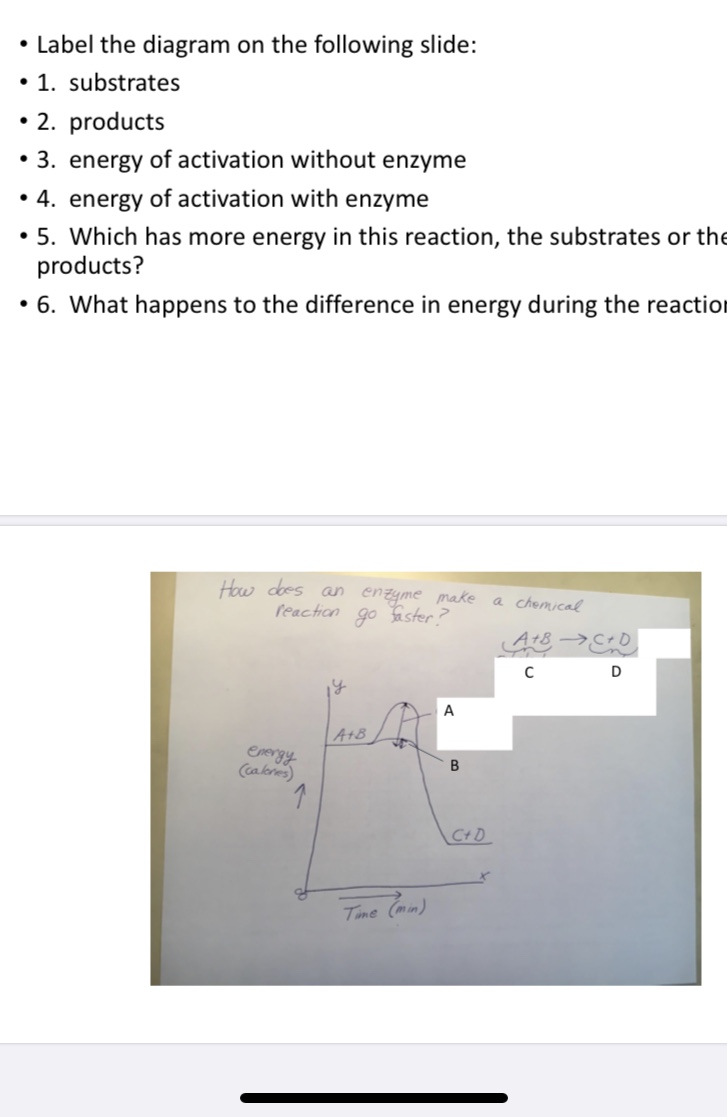 Label the diagram on the following slide:
• 1. substrates
• 2. products
• 3. energy of activation without enzyme
• 4. energy of activation with enzyme
• 5. Which has more energy in this reaction, the substrates or the
products?
• 6. What happens to the difference in energy during the reaction
How does an enzyme make
go aster?
a chemical
reaction
A+8 -→C+D
A+B
Energy
Ccakres)
CtD
Time (min)
