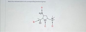 Answered: Match The Indicated Atom To Its… | Bartleby