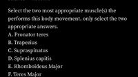 Select the two most appropriate muscle(s) the
performs this body movement. only select the two
appropriate answers.
A. Pronator teres
B. Trapezius
C. Supraspinatus
D. Splenius capitis
E. Rhomboideus Major
F. Teres Major
