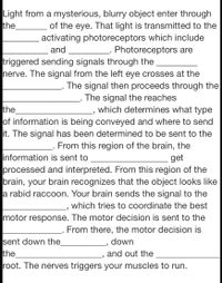 Light from a mysterious, blurry object enters through the _______ of the eye. That light is transmitted to the _______ activating photoreceptors which include _______ and _______. Photoreceptors are triggered, sending signals through the _______ nerve. The signal from the left eye crosses at the _______. The signal then proceeds through the _______. The signal then reaches the ________, which determines what type of information is being conveyed and where to send it. The signal has been determined to be sent to the ________. From this region of the brain, the information is sent to ________ to get processed and interpreted. From this region of the brain, your brain recognizes that the object looks like a rabid raccoon. Your brain sends the signal to the _______, which tries to coordinate the best motor response. The motor decision is sent to the ________. From there, the motor decision is sent down the _______, down the ________, and out the ________ root. The nerves trigger your muscles to run.