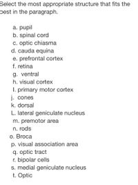 **Title: Understanding Neural Structures**

**Instructions:**
Select the most appropriate structure that fits best in the paragraph.

**Options:**

a. pupil  
b. spinal cord  
c. optic chiasma  
d. cauda equina  
e. prefrontal cortex  
f. retina  
g. ventral  
h. visual cortex  
i. primary motor cortex  
j. cones  
k. dorsal  
l. lateral geniculate nucleus  
m. premotor area  
n. rods  
o. Broca  
p. visual association area  
q. optic tract  
r. bipolar cells  
s. medial geniculate nucleus  
t. Optic  

**Objective:**
Use the list of neural structures provided to complete the paragraph with the most accurate terms. This exercise aims to help students develop an understanding of the functions and locations of various neural components within the human nervous system.