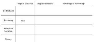 This table compares Regular and Irregular Echinoids in terms of their Body shape, Symmetry, Periproct Location, and Spines, with an emphasis on their Advantage to burrowing.

- **Body Shape**
  - Regular Echinoids: [Information Needed]
  - Irregular Echinoids: [Information Needed]
  - Advantage to Burrowing: [Information Needed]

- **Symmetry**
  - Regular Echinoids: 5-fold symmetry
  - Irregular Echinoids: [Information Needed]
  - Advantage to Burrowing: [Information Needed]

- **Periproct Location**
  - Regular Echinoids: [Information Needed]
  - Irregular Echinoids: [Information Needed]
  - Advantage to Burrowing: [Information Needed]

- **Spines**
  - Regular Echinoids: [Information Needed]
  - Irregular Echinoids: [Information Needed]
  - Advantage to Burrowing: [Information Needed]

This comparison highlights structural and functional differences between Regular and Irregular Echinoids, focusing on features relevant to their burrowing capabilities.