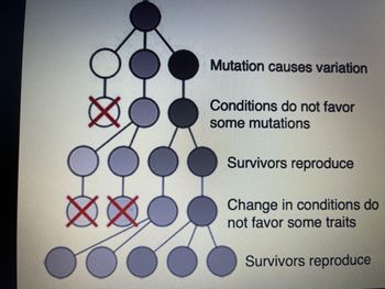 Answered: If this model continues, with no major… | bartleby