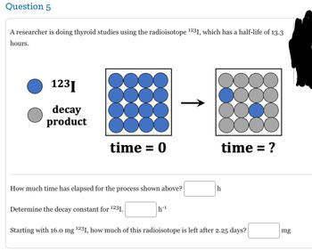 **Question 5**

A researcher is conducting thyroid studies using the radioisotope \(^{123}\text{I}\), which has a half-life of 13.3 hours.

**Diagram Explanation:**

- **Left Diagram (Time = 0):** 
  - Shows a 4x5 grid of circles, all of which represent the radioisotope \(^{123}\text{I}\). They are colored blue.

- **Right Diagram (Time = ?):**
  - Shows the same 4x5 grid, but most circles are now gray, indicating decay products. A few blue circles remain, representing the remaining \(^{123}\text{I}\).

**Questions:**

1. **How much time has elapsed for the process shown above?**
   - Answer: \_\_\_\_ h

2. **Determine the decay constant for \(^{123}\text{I}\).**
   - Answer: \_\_\_\_ h\(^{-1}\)

3. **Starting with 16.0 mg \(^{123}\text{I}\), how much of this radioisotope is left after 2.25 days?**
   - Answer: \_\_\_\_ mg