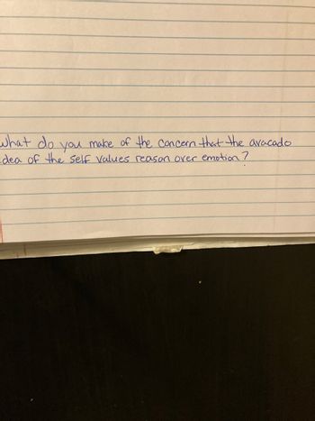 What do you make of the concern that the avacado.
dea of the self values reason over emotion?