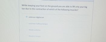 While keeping your foot on the ground you are able to lift only your big
toe due to the contraction of which of the following muscles?
extensor digitorum
extensor hallicus longus
tibialis anterior
fibularis longus