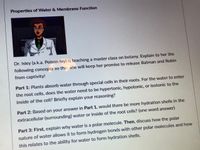 Properties of Water & Membrane Function
Dr. Isley (a.k.a. Poison Ivy) is teaching a master class on botany. Explain to her the
following concepts so that she will keep her promise to release Batman and Robin
from captivity!
Part 1: Plants absorb water through special cells in their roots. For the water to enter
the root cells, does the water need to be hypertonic, hypotonic, or isotonic to the
inside of the cell? Briefly explain your reasoning?
Part 2: Based on your answer in Part 1, would there be more hydration shells in the
extracellular (surrounding) water or inside of the root cells? (one word answer)
Part 3: First, explain why water is a polar molecule. Then, discuss how the polar
nature of water allows it to form hydrogen bonds with other polar molecules and how
this relates to the ability for water to form hydration shells.
