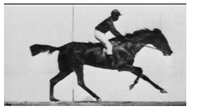 This image is a famous photograph sequence capturing a horse in motion. It was taken by Eadweard Muybridge, an English photographer, known for his pioneering work in motion-picture projection. The image is a part of a series that were designed to study the movement of horses. 

**Description of the Image:**

A horse is shown in mid-gallop, with all four of its legs off the ground. The rider is positioned forward, holding onto the reins. The background is minimal, focusing on the horse's dynamic motion. This freeze-frame is one of many taken in sequence that contributed to the understanding of animal locomotion, demonstrating that a horse’s hooves are all off the ground simultaneously during a specific moment in the gallop, which was not previously understood before this experiment.

**Educational Focus:**

- **Historical Significance**: This work provided early insights into motion study and laid the groundwork for the development of motion pictures.
- **Scientific Impact**: Changed perceptions of animal locomotion and influenced future studies in biomechanics and locomotion.
- **Technical Innovation**: Showcases photographic techniques that captured high-speed motion outside of traditional limitations. 

This sequence exemplifies the blend of art and science in capturing and analyzing movement, altering the way both artists and scientists viewed motion.