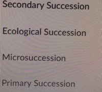 Secondary Succession
Ecological Succession
Microsuccession
Primary Succession
