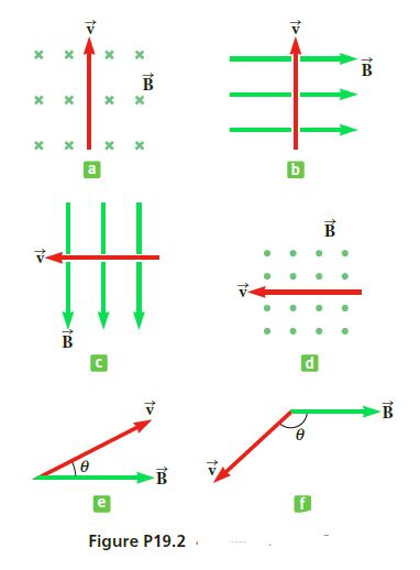 Figure P19.2 .
