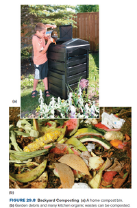 Answered: (a) (b) FIGURE 29.8 Backyard Composting… | Bartleby