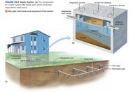 Answered: FIGURE 29.4 Septic System (a) The… | bartleby