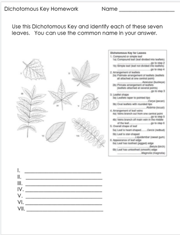 Answered: Dichotomous Key Homework Use this… | bartleby