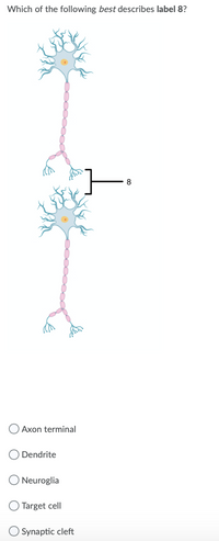 Figure 35.3 Which of the following statements is false? The soma is the  cell body of a nerve cell. Myelin sheath provides an insulating layer to the  dendrites. Axons carry the signal