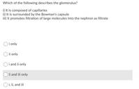 Which of the following describes the glomerulus?
i) It is composed of capillaries
ii) It is surrounded by the Bowman's capsule
iii) It promotes filtration of large molecules into the nephron as filtrate
i only
O ii only
Oi and ii only
ii and iii only
O i, ii, and i
